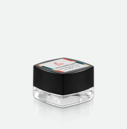 Watermelon Lip Balm Square