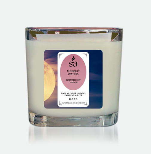 Moonlit Waters 2 Wick Candles hover